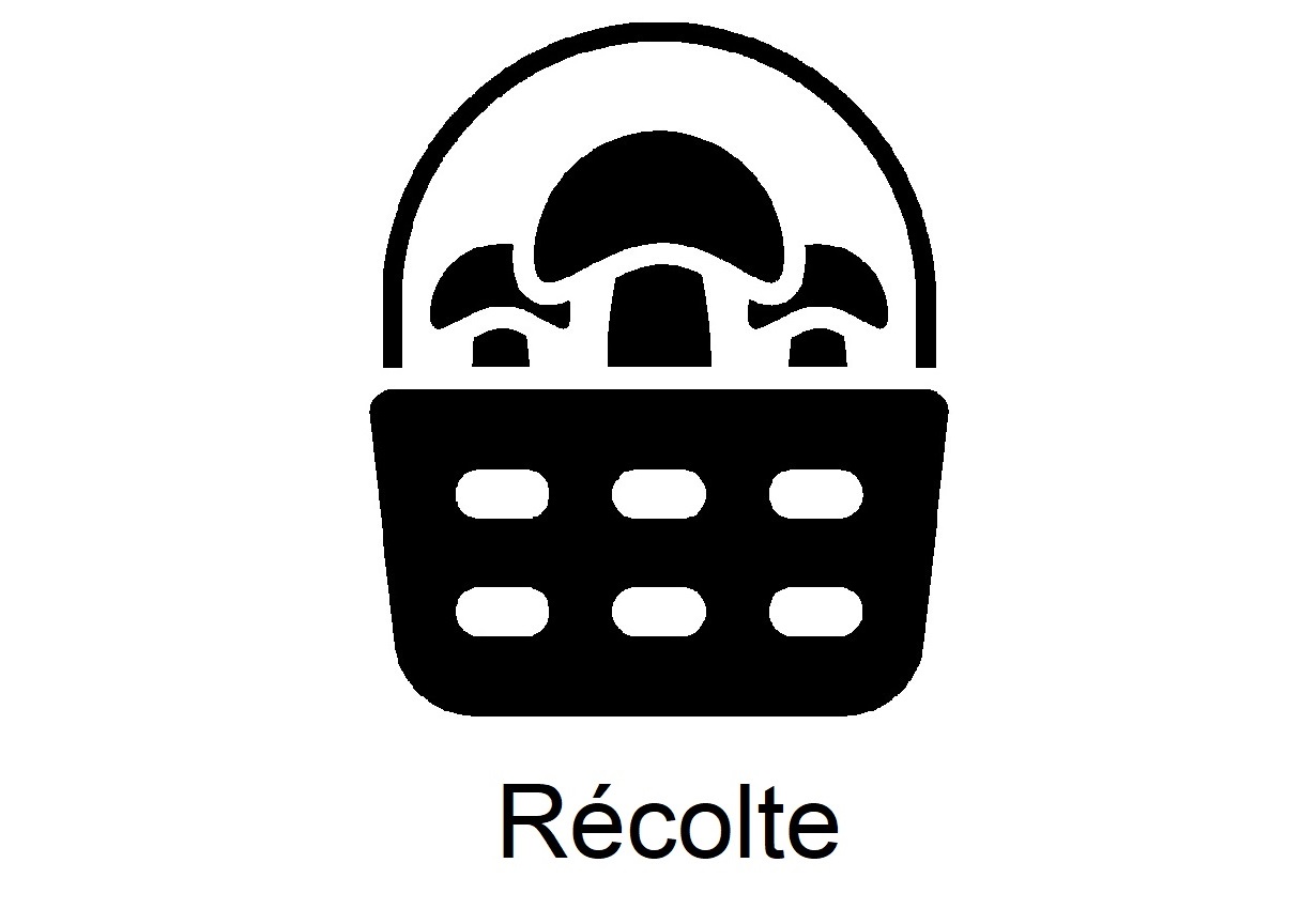 Récolte