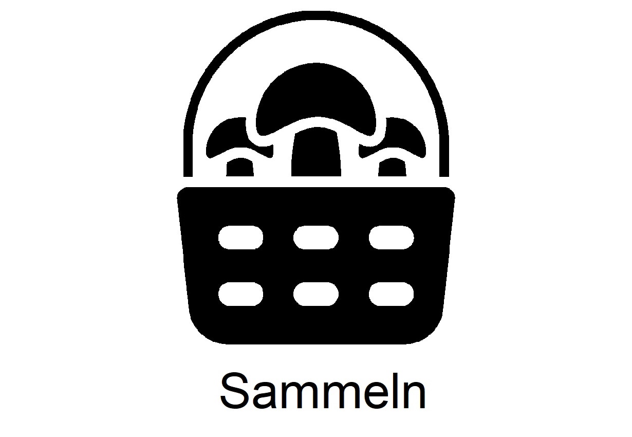 Sammeln