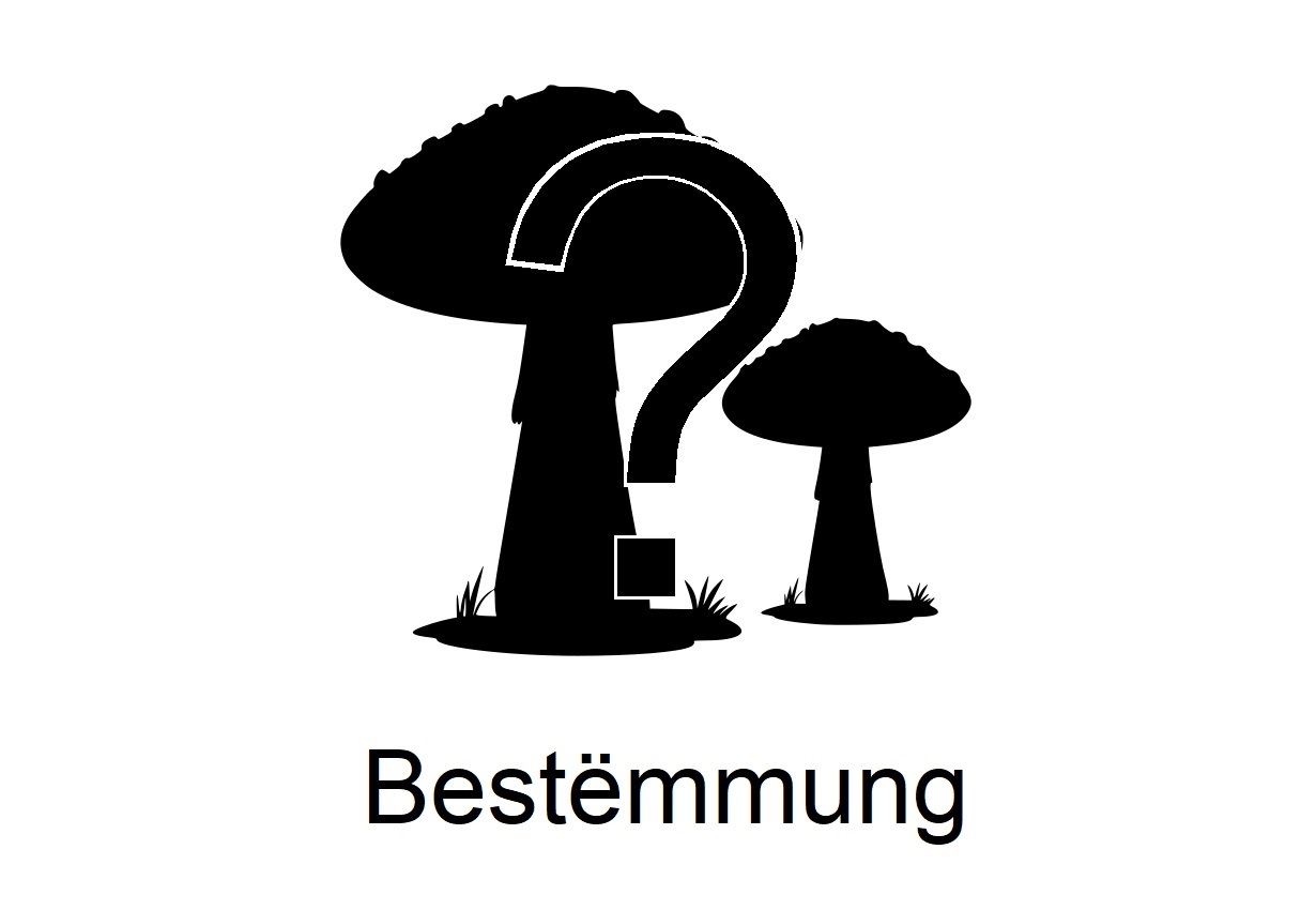 Bestëmmung