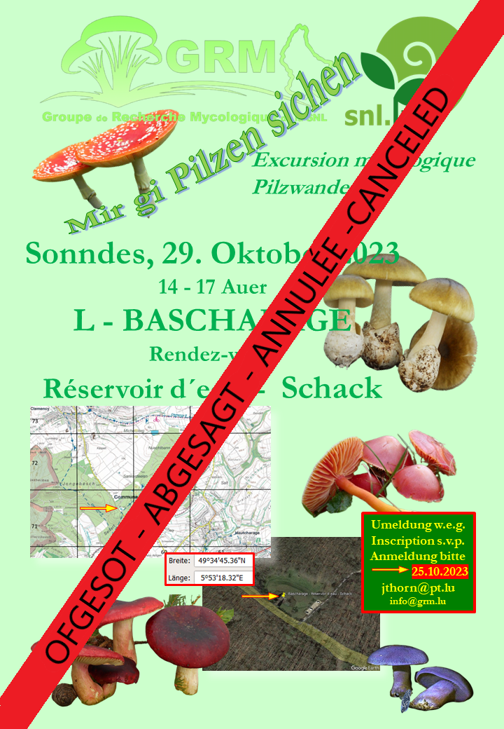 231029 L-Bascharage-Schack SNL - Ofgesot