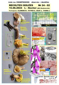 240616-2 LIST CHA ob+id Nocher (WE Biodiversité)-1