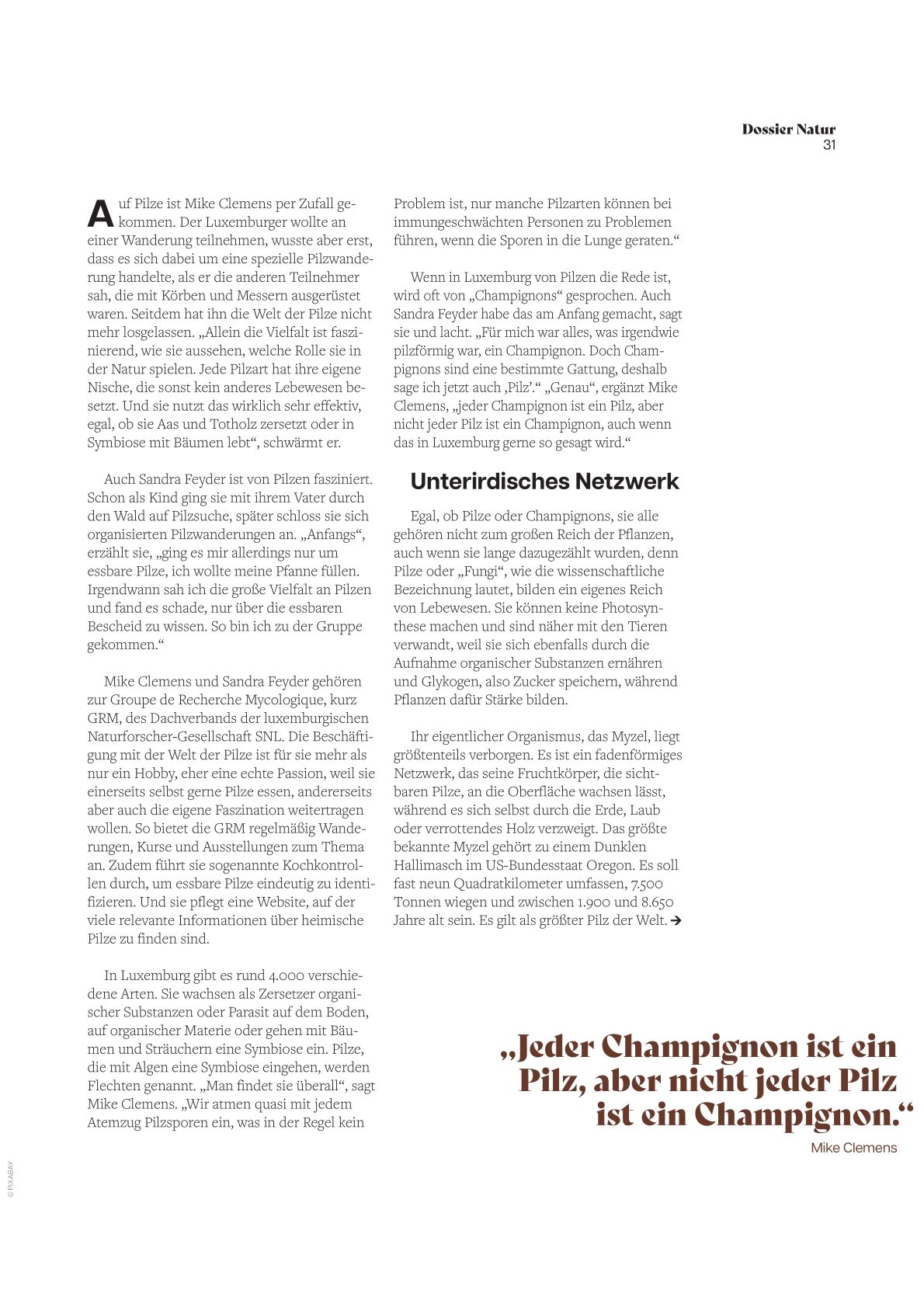 Artikel Revue 2026-2 Artikel Revue 2026-2