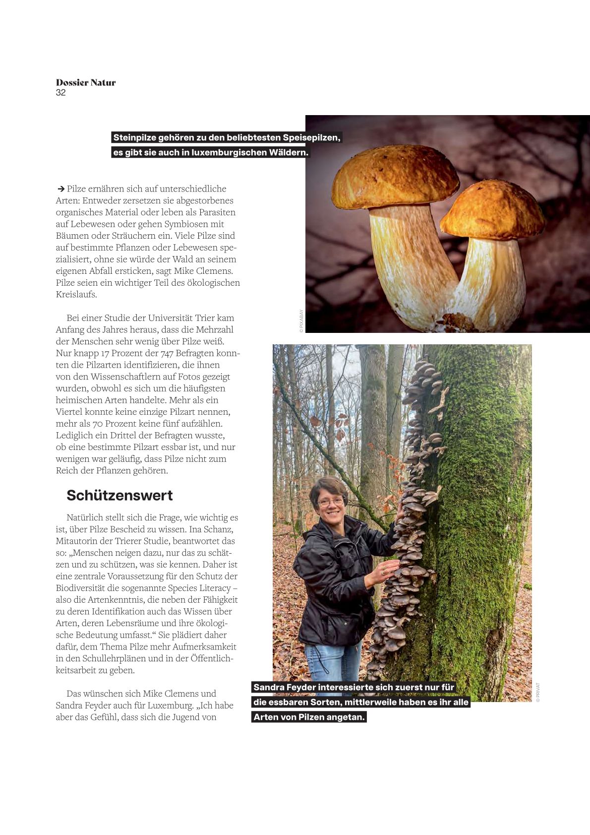 Artikel Revue 2026-3 Artikel Revue 2026-3