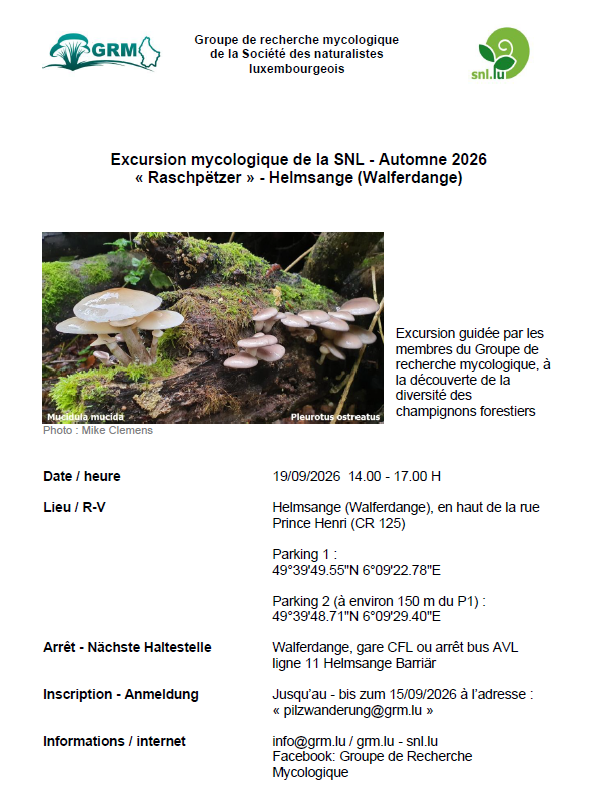 Excursion mycologique Raschpëtzer